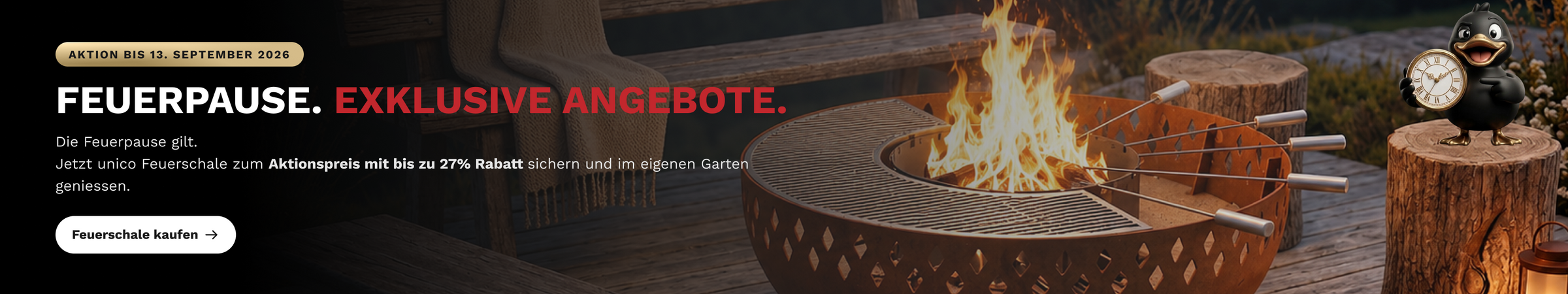 Offer Banner Desktop