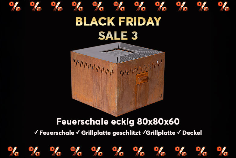 Black Friday Sale 3